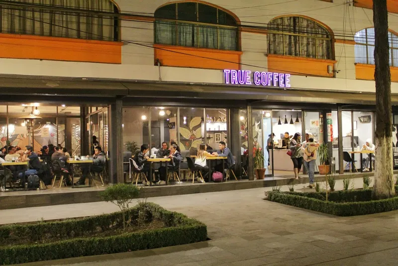 True Coffee Colón