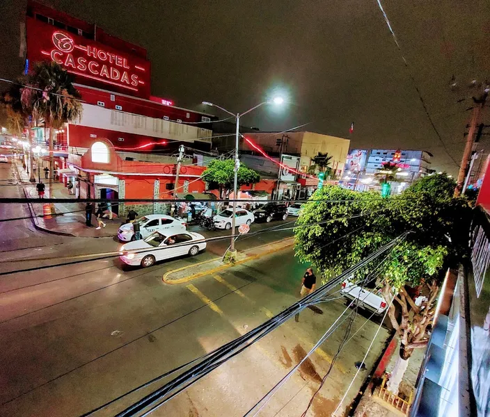La Malquerida