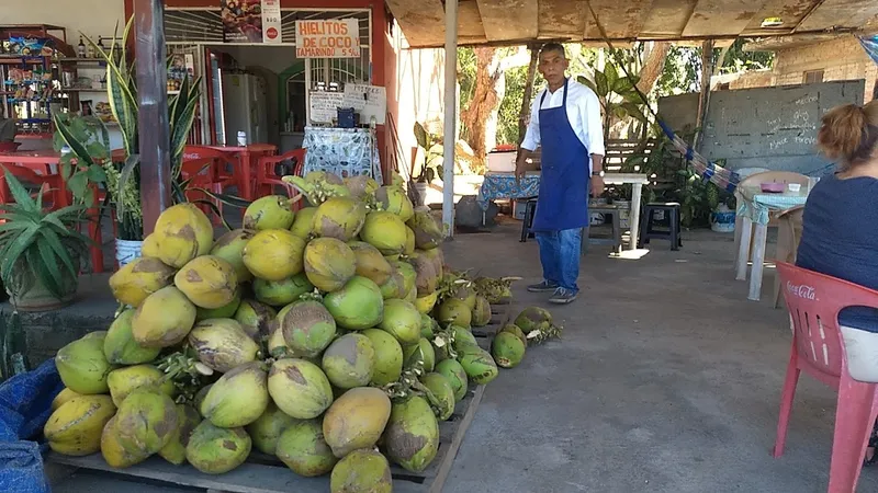 COCOS "MATA"