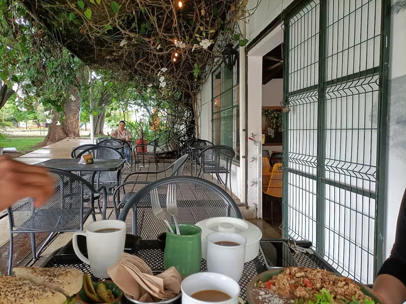 AMPARO café casual