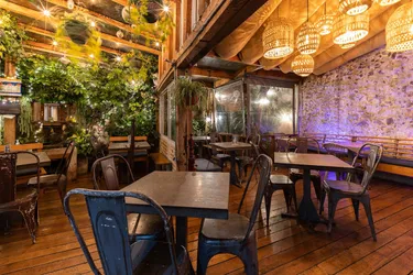 Los mejores 18 cafeterías de Xalapa