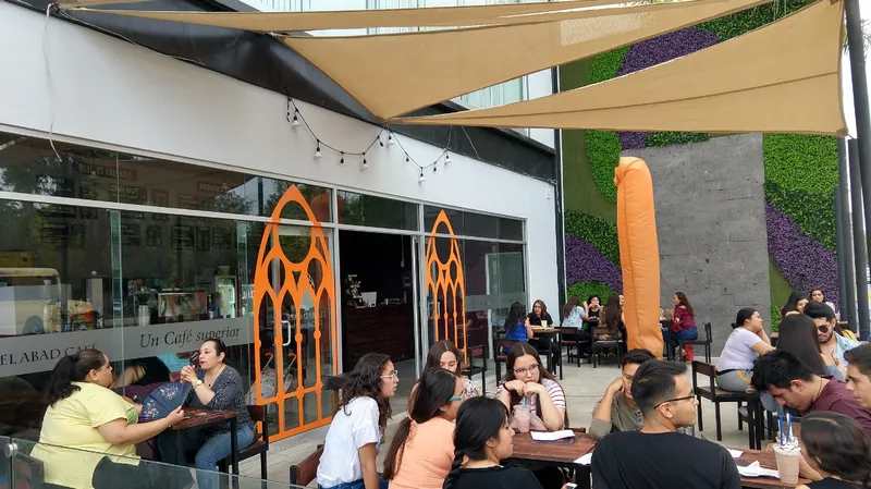 Monab Café Bosque
