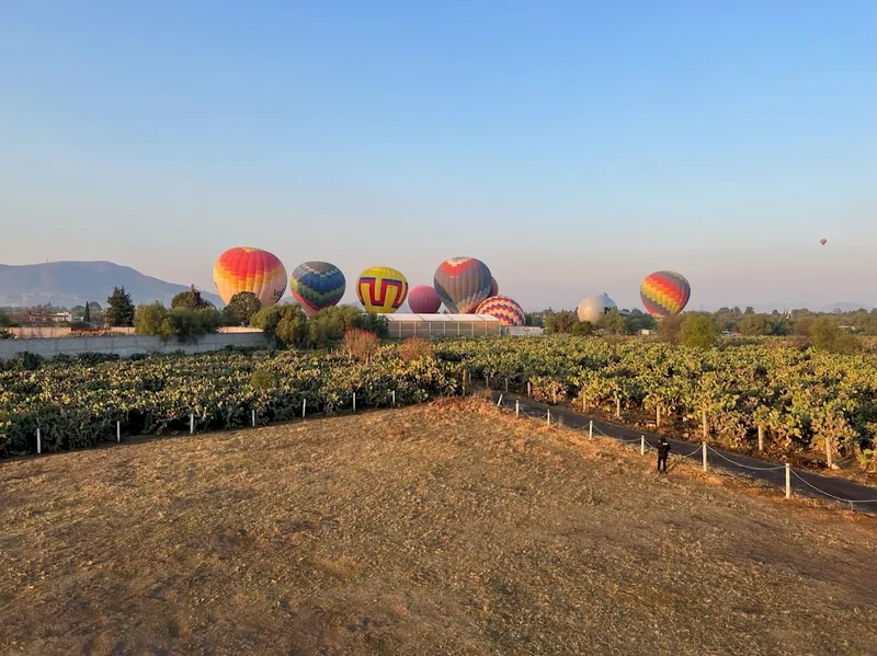 Flying Pictures de México Vuelos en Globos Aerostáticos en Teotihuacán