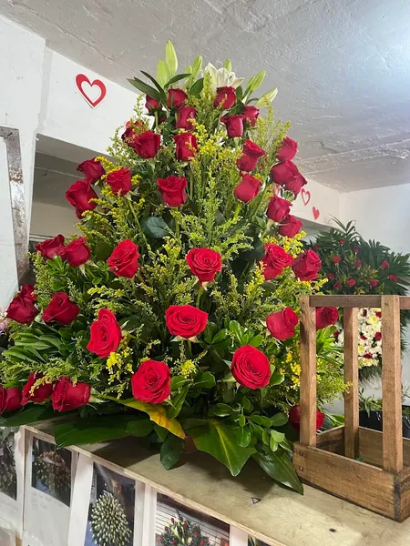Floreria Paulina