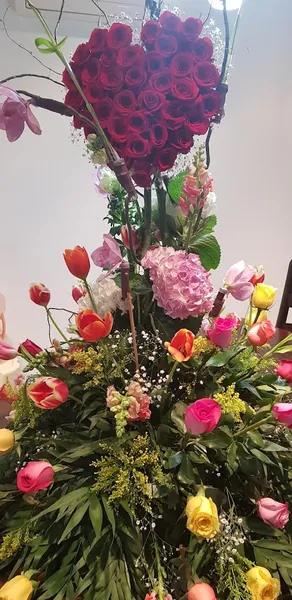 Floreria D'rosas