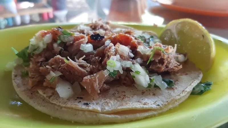 Mr. Carnitas
