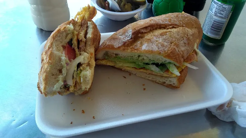 El Torthugo