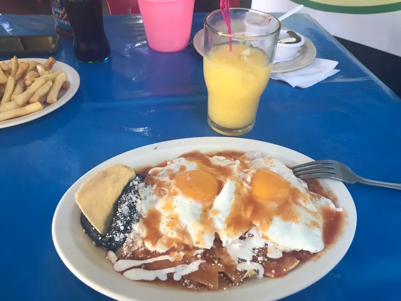 Tortas, Tacos, Quesadillas y más.. Ya estas!