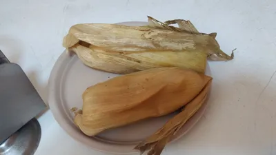 Los 9 tamales de Puebla