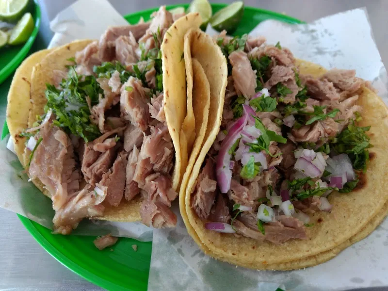 CARNITAS GIL