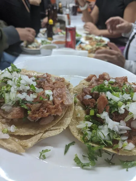Tacos El Fogon Zona Azul Satelite