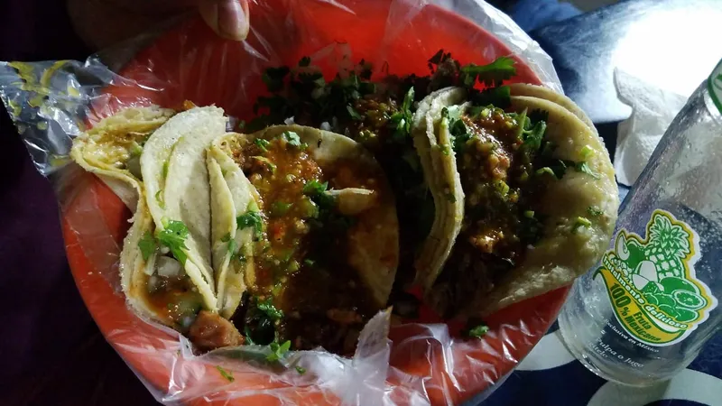 Tacos Garibaldi
