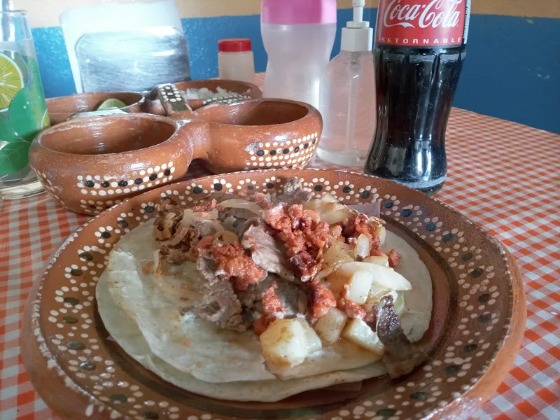 pancita javis