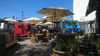 Los mejores 5 restaurantes pet friendly de Tijuana