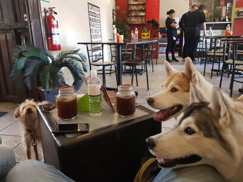 Frenchies Café