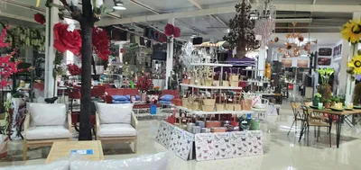 Los 12 tiendas de hogar de Colonia San Pedro Monterrey