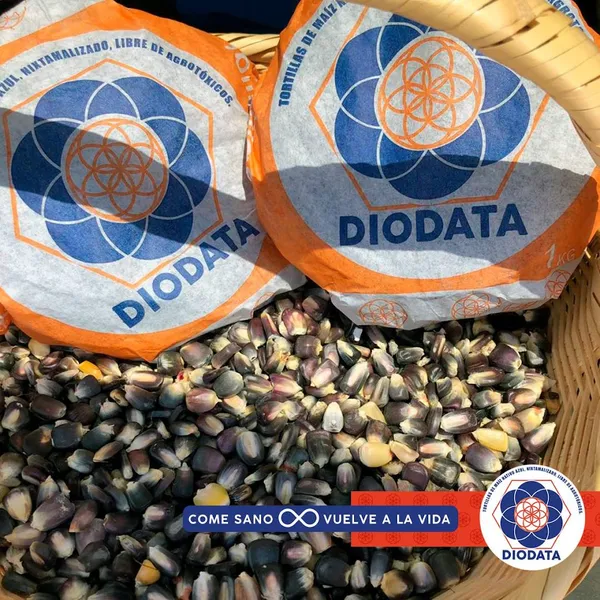 Tortillas Azules Milpa Viva