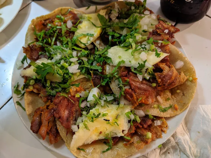 Tacos El Fogon Zona Azul Satelite