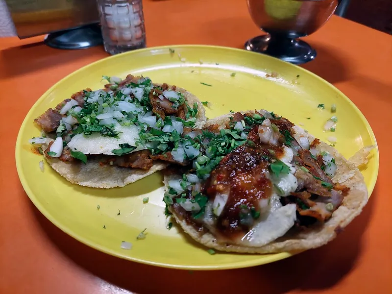 Taquería El Indito Carbonero