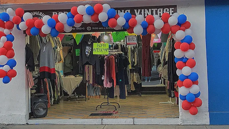 Ropa Americana Vintage