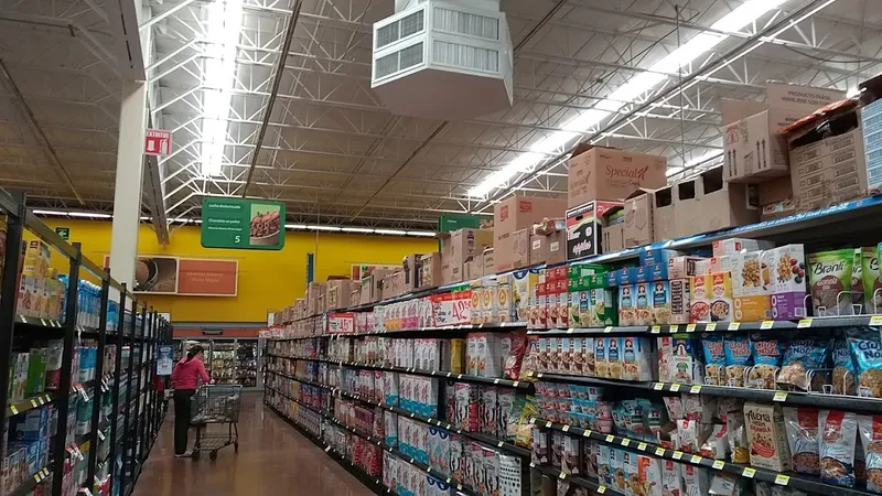 Walmart Plaza Del Lago