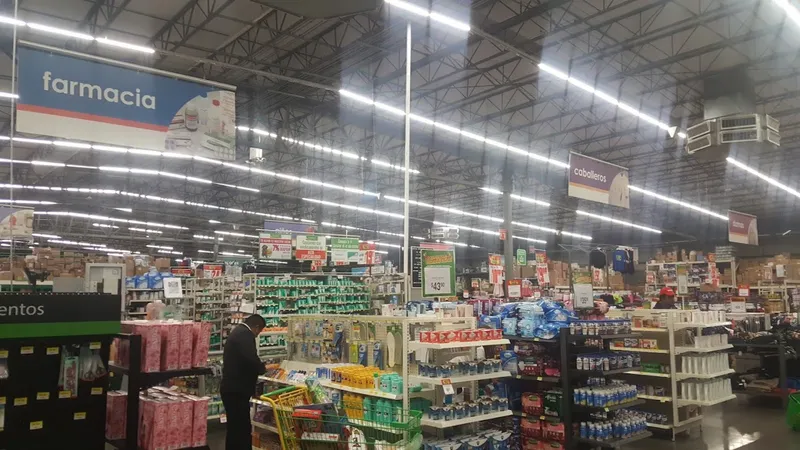 Bodega Aurrera, Toluca Aztecas