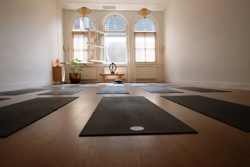 De Nieuwe Yogaschool