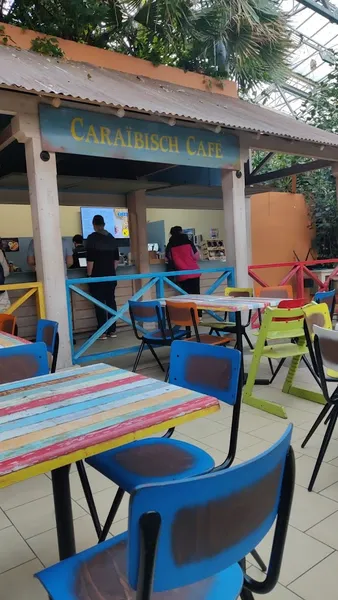 Caraïbisch cafe