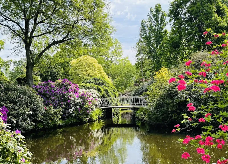 Trompenburg Tuinen & Arboretum