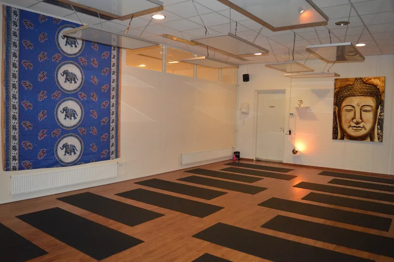 Hot Yoga Place