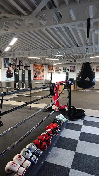 Fightclub Haarlem