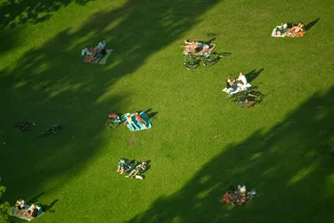 Lijst 19 plekken om te picknicken in Rotterdam