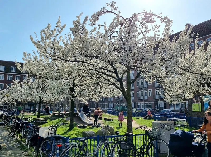 Speeltuin Legmeerplein