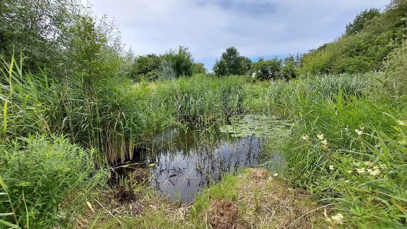 Heemtuin De Heimanshof