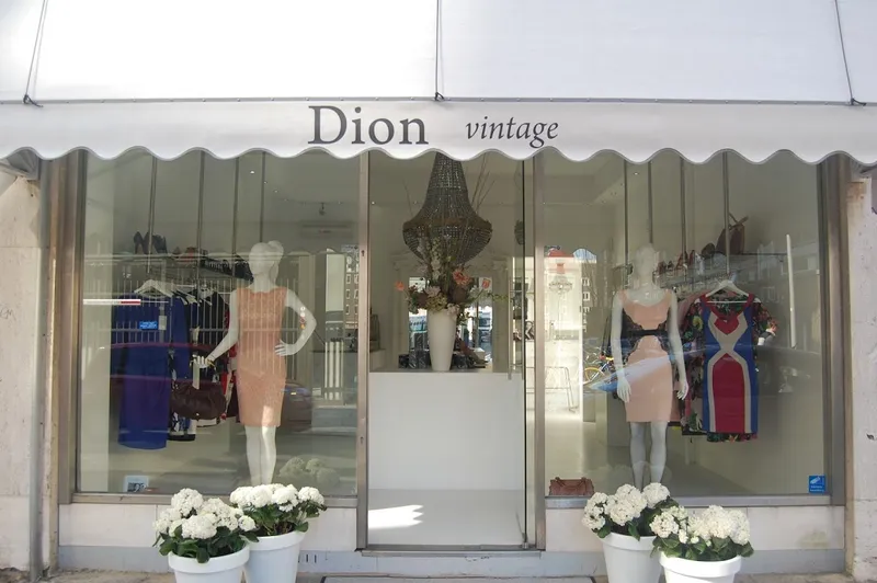 Dion Vintage