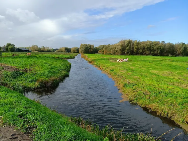 Recreatiegebied Poldervaart