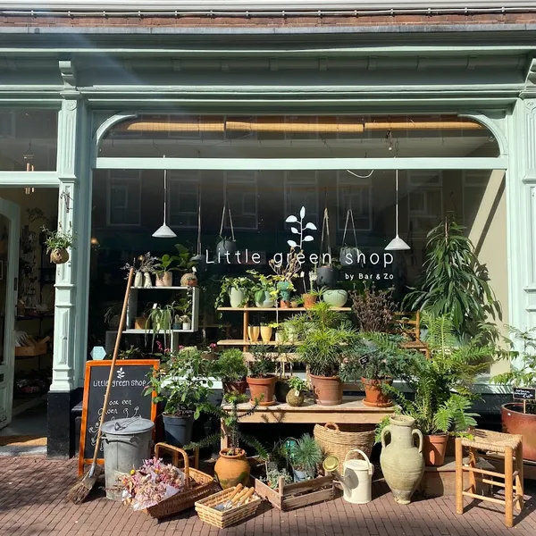 Little green shop