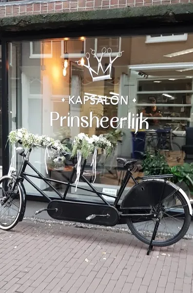 Kapsalon Prinsheerlijk