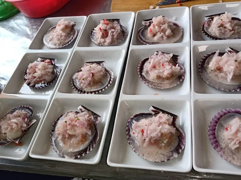 LA TERRAZA DE ROBERT STAR