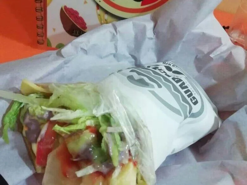 Guadalajara: Tacos, Enchiladas y Más