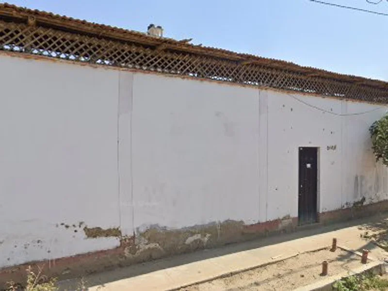 Pamalü
