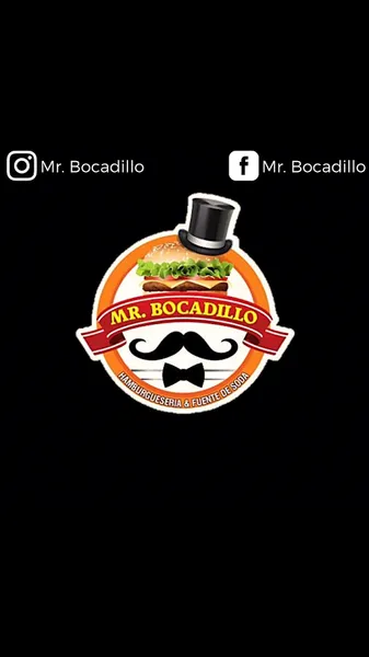 Mr. BOCADILLO