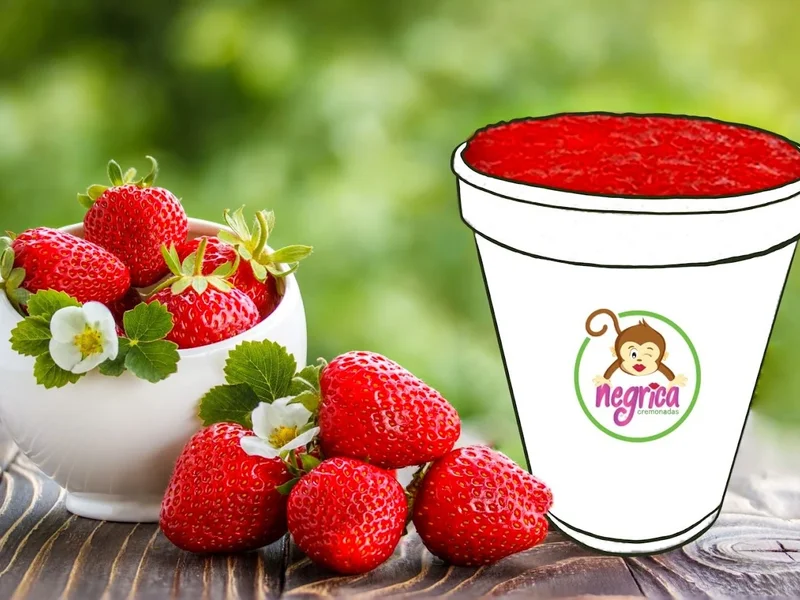 Negrica Fuente De Soda