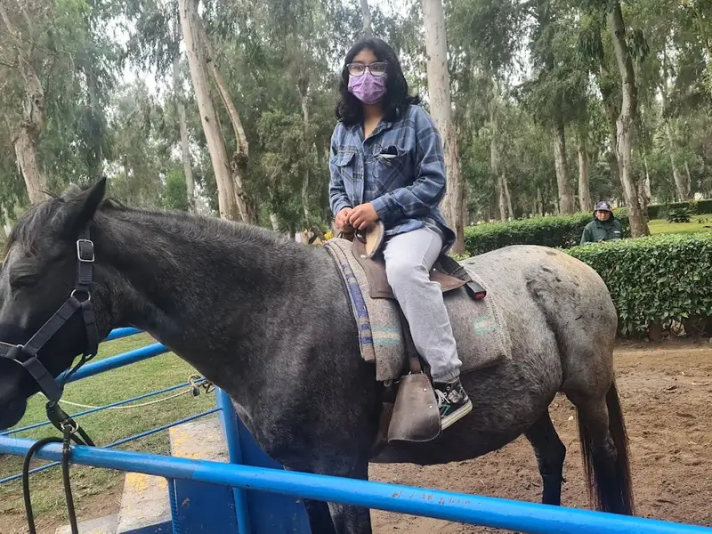 Parque Zonal Huáscar