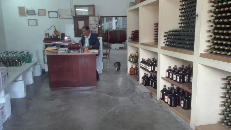 Vinos Y Piscos Catamarca