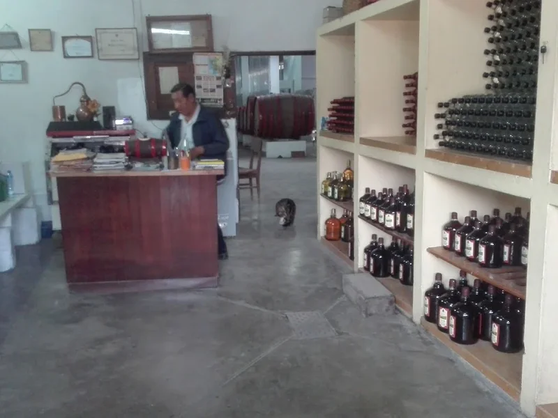 Vinos Y Piscos Catamarca