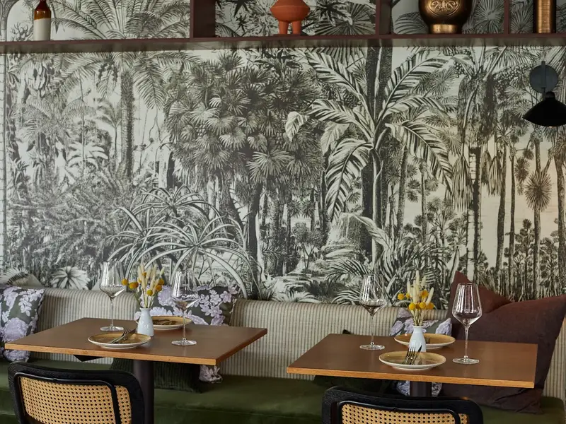 Saya Terraza & Bistró