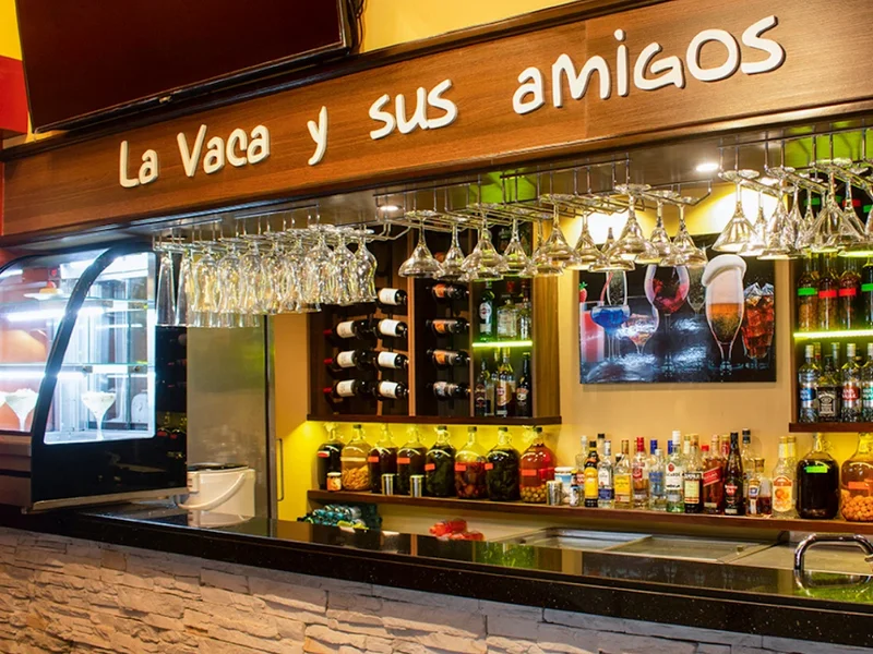 La Vaca y Sus Amigos - Mayolo