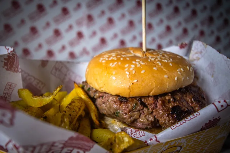 FRIES BURGER PERU