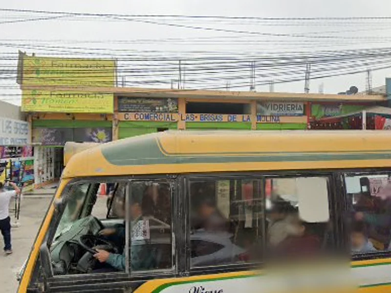 Tamales La Maleñita